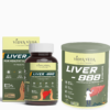 Liver care kit vidyaveda